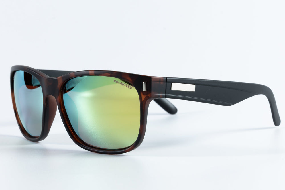 BIG BOB POLARISED