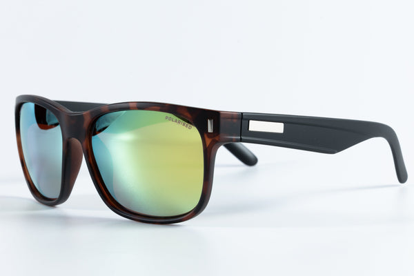 BIG BOB POLARISED