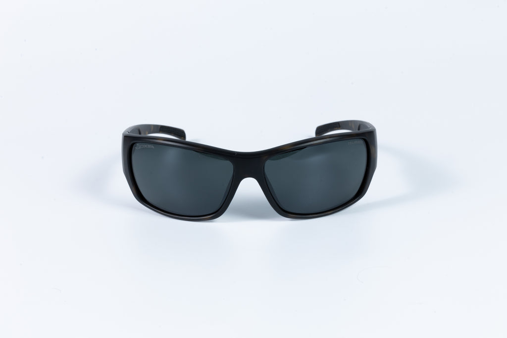 TERMINATOR POLARISED
