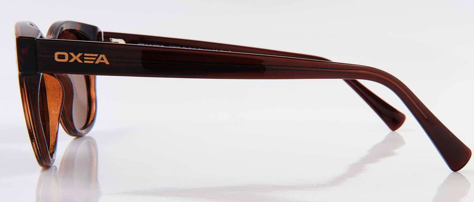 STUDS POLARISED BROWN