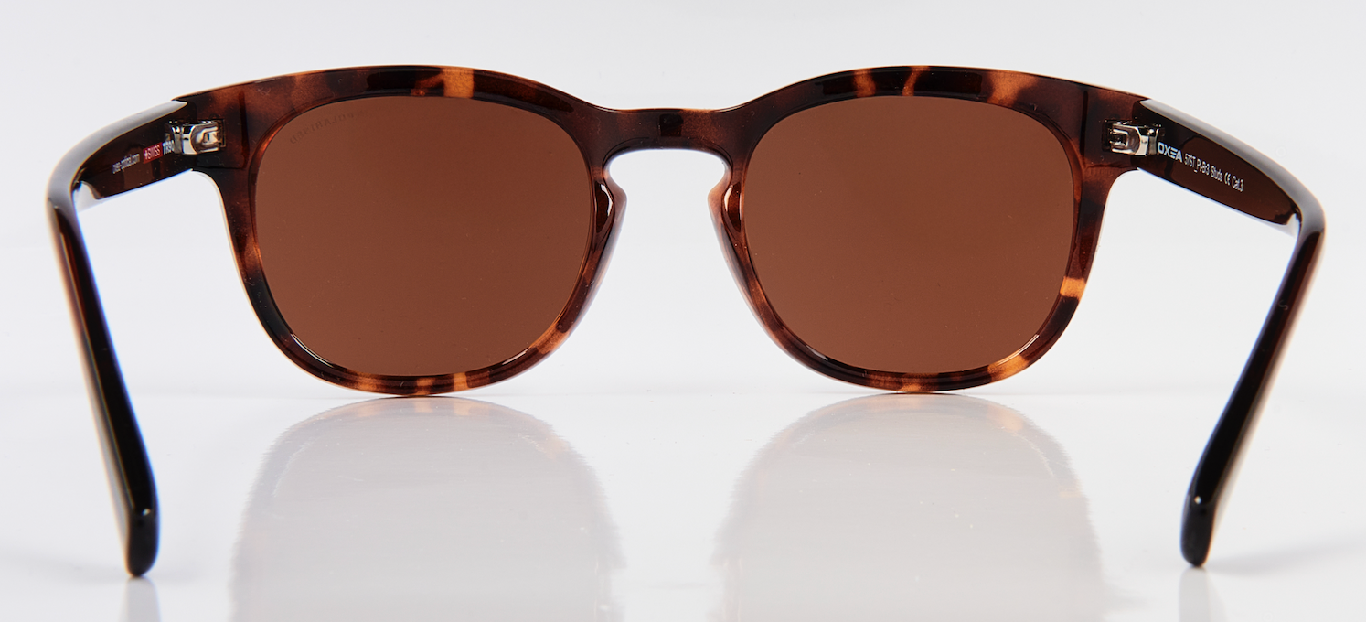 STUDS POLARISED BROWN