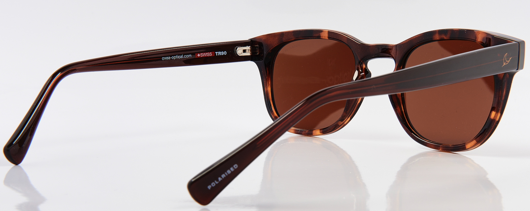 STUDS POLARISED BROWN