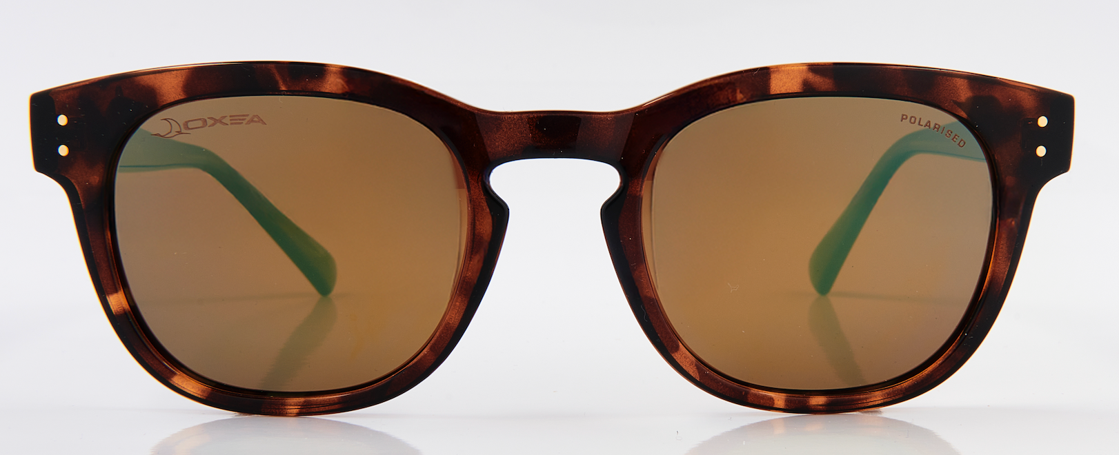 STUDS POLARISED BROWN