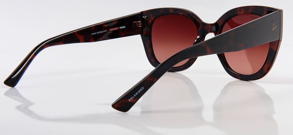 VEGAS POLARISED BROWN