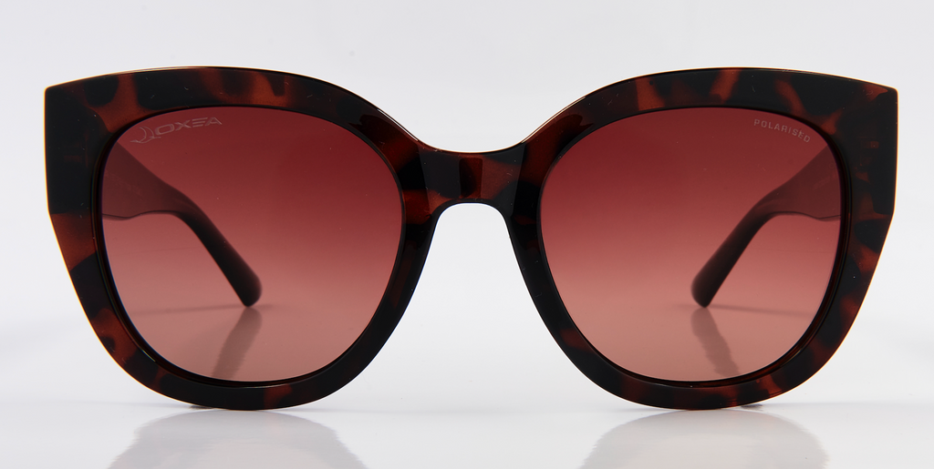 VEGAS POLARISED BROWN